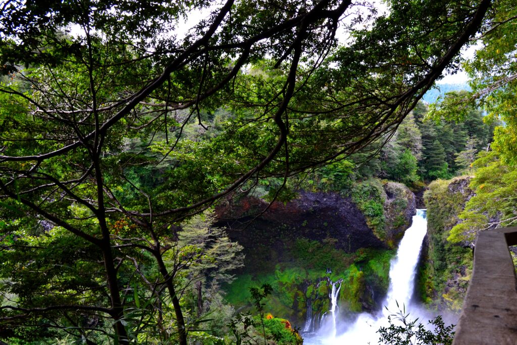 Exniñera lucha contra extradición por crímenes de lesa humanidad