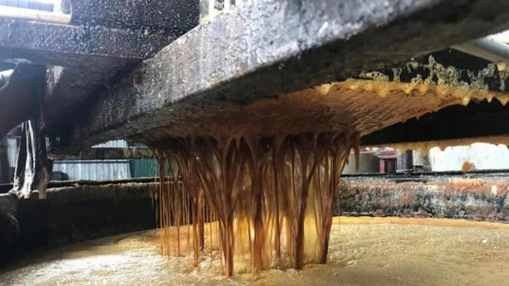 Nuevo método solar para combustible de aviación sostenible Nuevo método solar para combustible de aviación sostenible