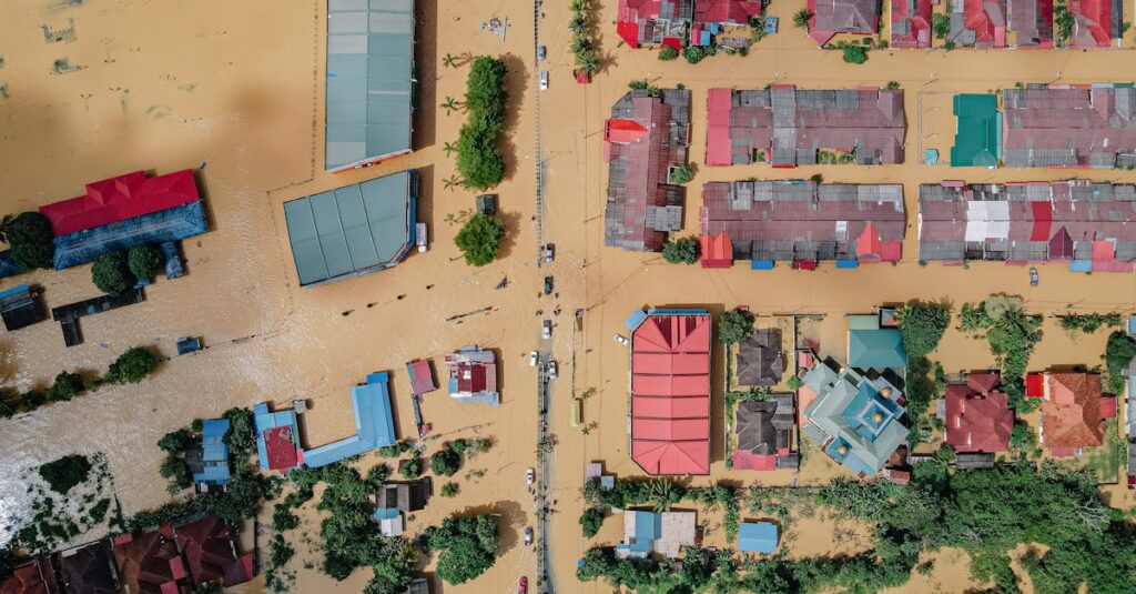 Vecinos de Antofagasta exigen solución para plagas de pantano urbano Vecinos de Antofagasta exigen solución para plagas de pantano urbano